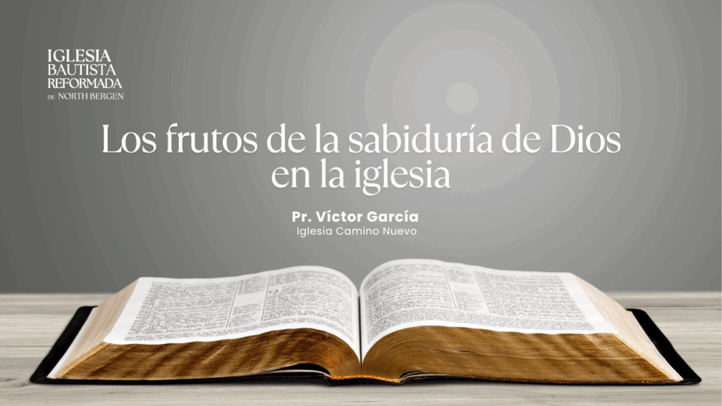 Los frutos de la sabiduría de Dios en la iglesia