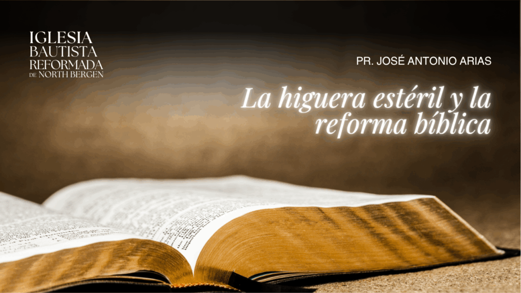 Meditación: La higuera estéril y la reforma bíblica